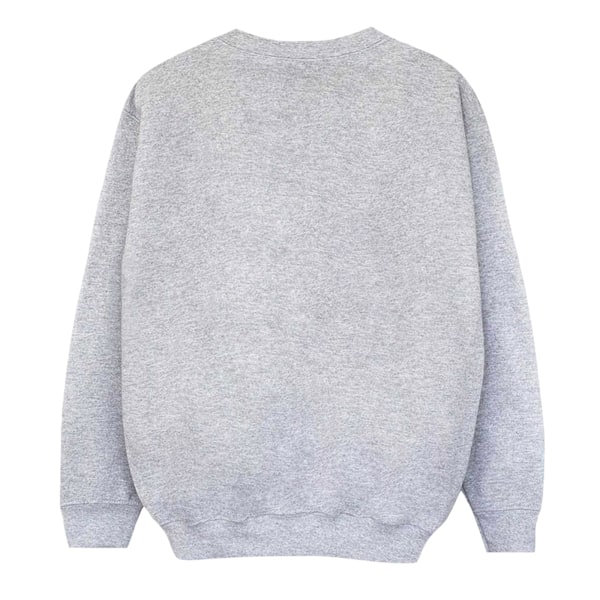 Disney Boys Toy Story The Plastic Platoon Sweatshirt 12-13 År Sports Grey 12-13 Years