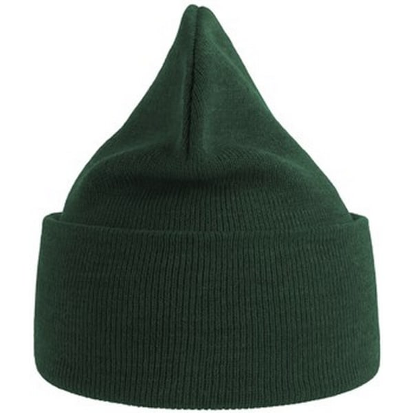 Atlantis Unisex Vuxen Ren Beanie i Återvunnet Material One Size Bottle Green Bottle Green One Size