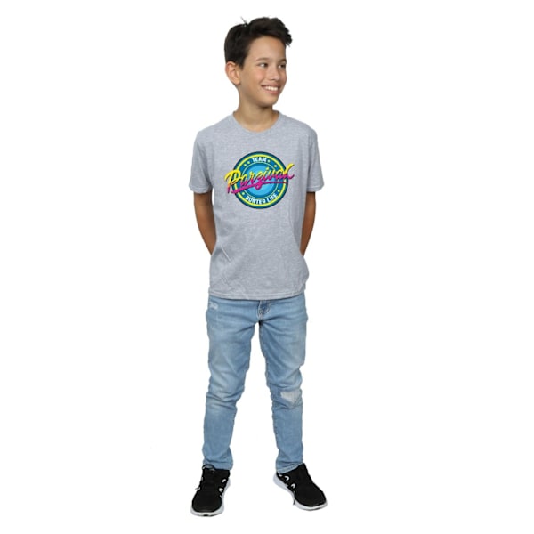 Ready Player One Boys Team Parzival T-Shirt 5-6 år Sports Grå Sports Grey 5-6 Years
