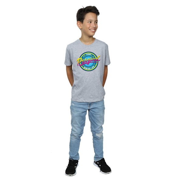 Ready Player One Boys Team Parzival T-shirt 9-11 år Sport Grå Sports Grey 9-11 Years