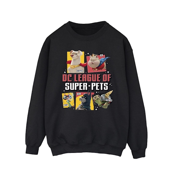 DC Comics Herr DC League Of Super-Pets Profil Sweatshirt XL Svart Black XL