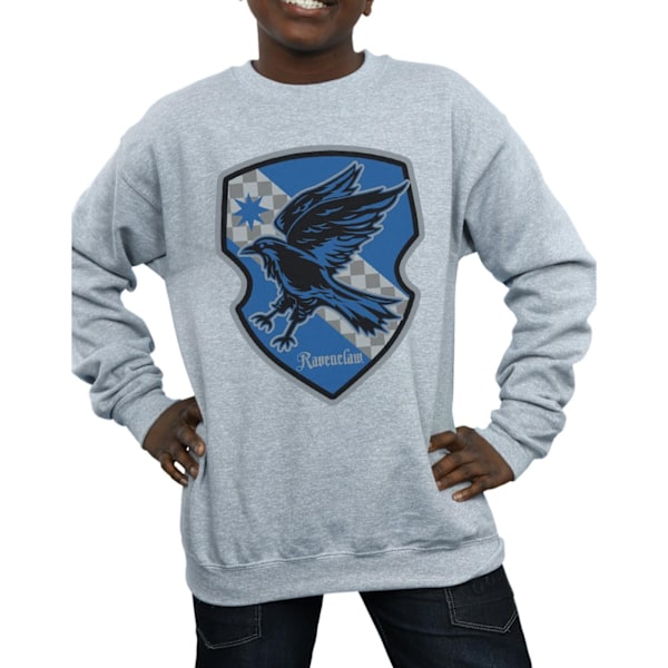 Harry Potter Pojkar Ravenclaw Crest Flat Sweatshirt 9-11 År Sp Sports Grey 9-11 Years