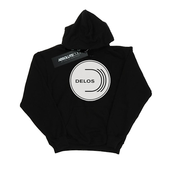 Westworld Mens Delos Circular Logo Hoodie M Svart Black M