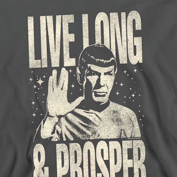 Star Trek: The Original Series Unisex Vuxen Prosper Spock Tröja Charcoal S