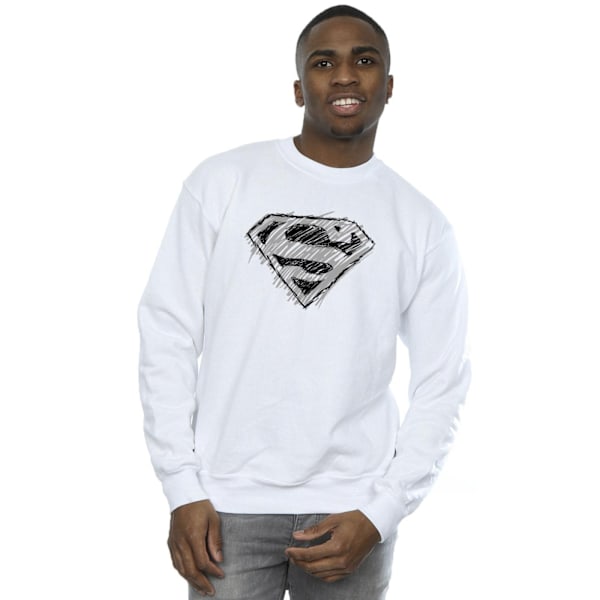 DC Comics Herr Superman Logo Sketch Sweatshirt M Vit White M
