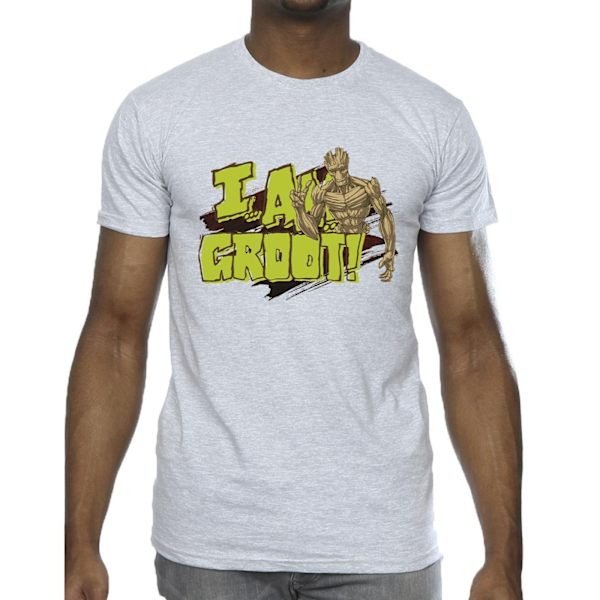 Guardians Of The Galaxy Herr I Am Groot T-shirt 3XL Sports Grey Sports Grey 3XL