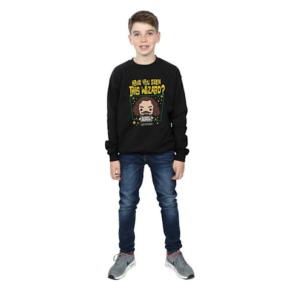 Harry Potter Boys Sirius Black Azkaban Junior Sweatshirt 7-8 år Black 7-8 Years
