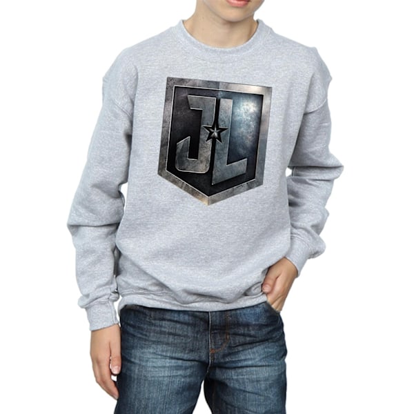 DC Comics Boys Justice League Movie Shield Sweatshirt 5-6 år Sports Grey 5-6 Years