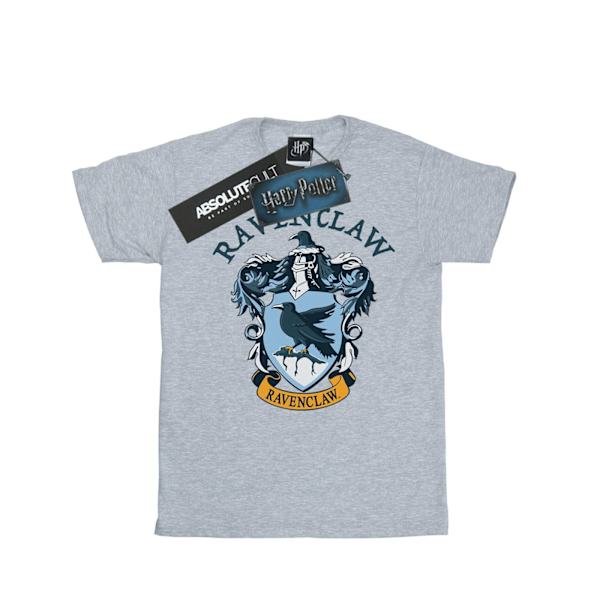 Harry Potter Herr Ravenclaw Bomull T-shirt S Sports Grey Sports Grey S