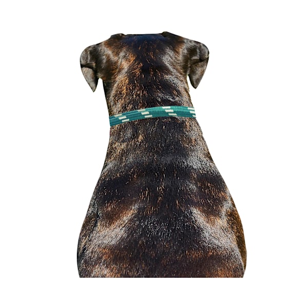 Weatherbeeta Rope Läder Hundhalsband M Hunter Green/Brun Hunter Green/Brown M