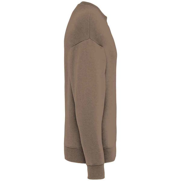 Native Spirit Dam/Kvinnor Oversized Sweatshirt XL Driftwood Driftwood XL