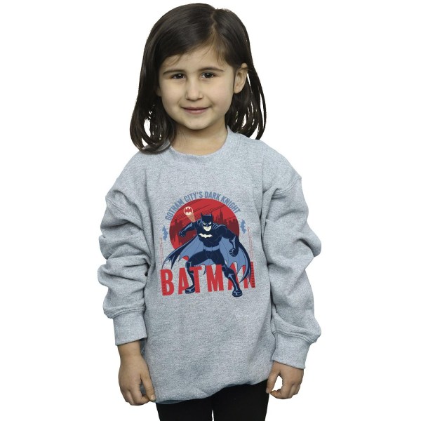 DC Comics Girls Batman Gotham City Sweatshirt 7-8 år Sport Sports Grey 7-8 Years