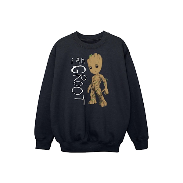 Marvel Boys Guardians Of The Galaxy I Am Groot Scribbles Tröjor Black 5-6 Years