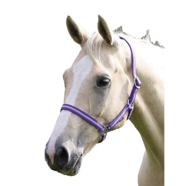 Wessex Horse Headcollar Cob Lila/Lila Purple/Lilac Cob