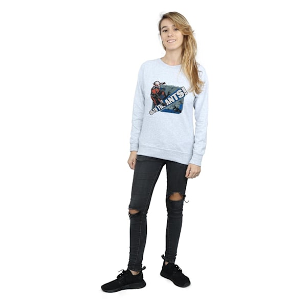 Marvel Dam/Kvinnor Ant-Man Gå Till Myrorna Sweatshirt L Heather Heather Grey L