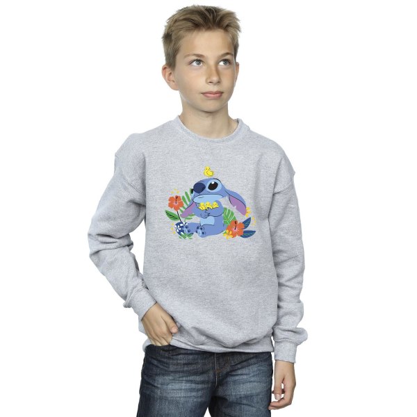 Disney Boys Lilo & Stitch Birds Sweatshirt 3-4 år Sport Gre Sports Grey 3-4 Years