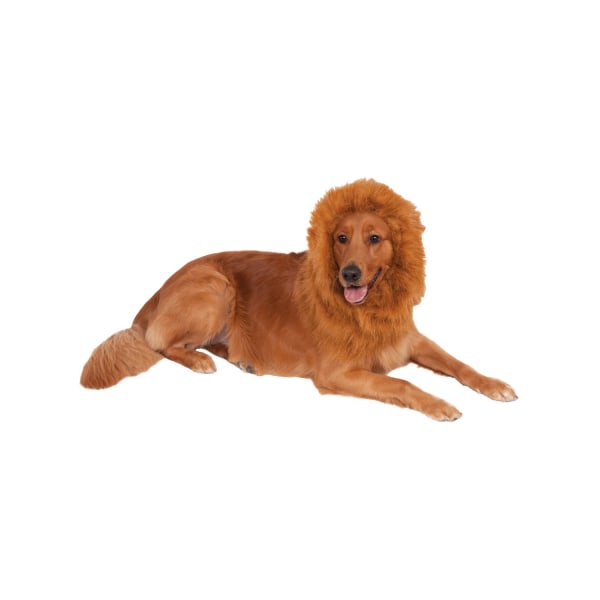Bristol Novelty Lion´s Mane Dog Costume One Size Brun Brown One Size