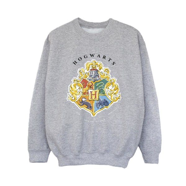 Harry Potter Pojkar Hogwarts Skolemblem Sweatshirt 3-4 År S Sports Grey 3-4 Years