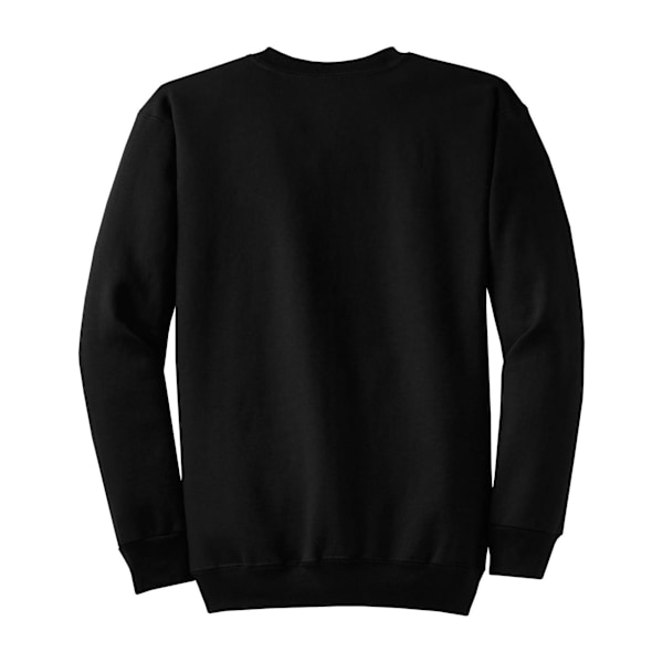 DC Comics Barn/Pojkar Officiell Flash TV Star Laboratories Sweatshirt Black Years (9-10)