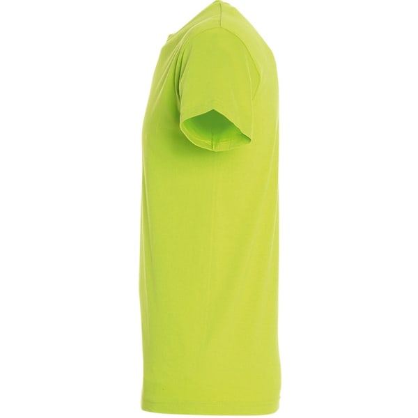 SOLS Regent kortärmad t-shirt för män XL äppelgrön Apple Green XL