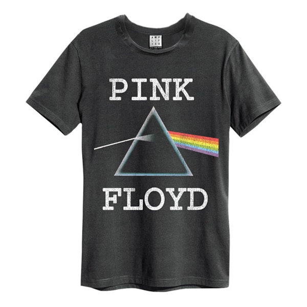 Amplified Mens Dark Side Pink Floyd T-Shirt XS Charcoal Charcoal XS