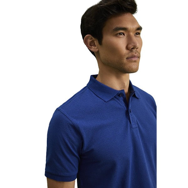 Asquith & Fox Herr Poloshirt mit kurzen Ärmeln in Royalblau, Größe M Royal M