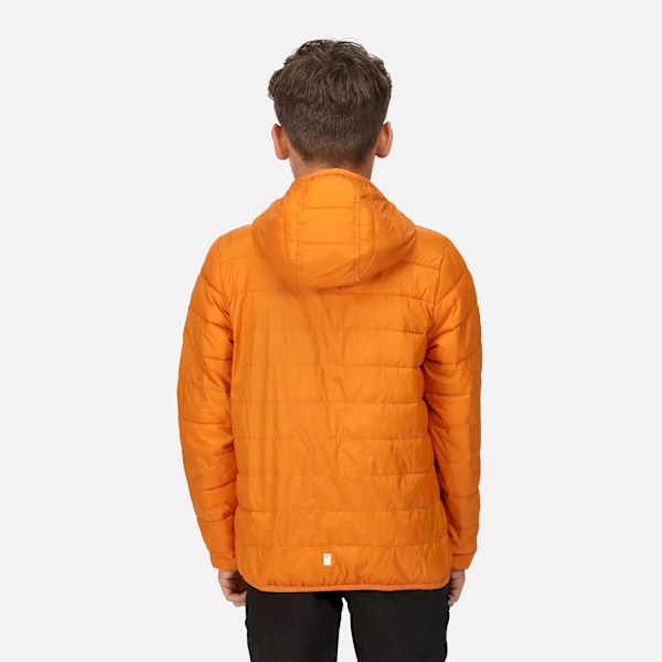Regatta Barn/Barn Hillpack Huvjacka 7-8 År Höst Autumn Maple 7-8 Years