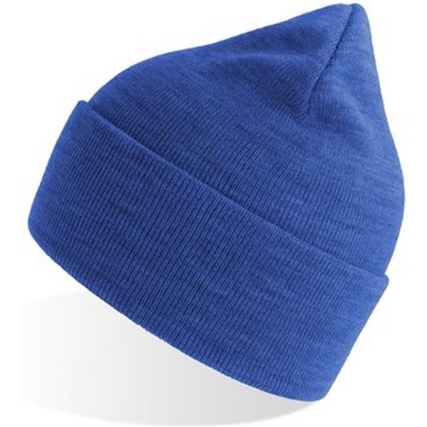 Atlantis Unisex Vuxen Ren Beanie i Återvunnet Material One Size Royal Blue Royal Blue One Size