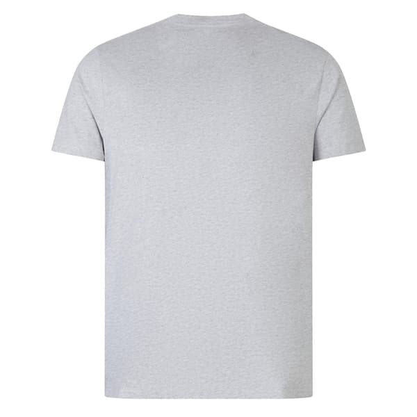 Canterbury Herr Logotyp T-shirt S Grå/Vit Grey/White S