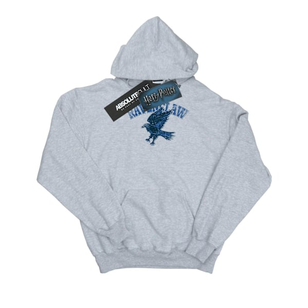 Harry Potter Flickor Ravenclaw Sport Emblem Hoodie 5-6 År Spor Sports Grey 5-6 Years