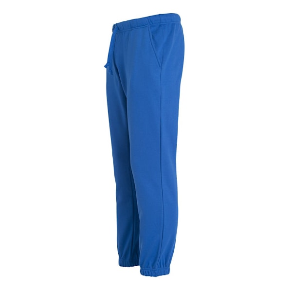Clique Unisex Vuxen Basic Joggingbyxor XS Royal Blue Royal Blue XS