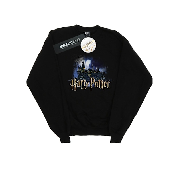 Hary Potter Dam/Damer Hogwarts Castle Sweatshirt M Svart Black M