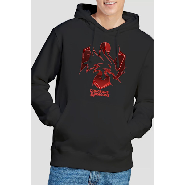 Dungeons & Dragons Herr Ampersand Urring Hoodie M Svart Black M