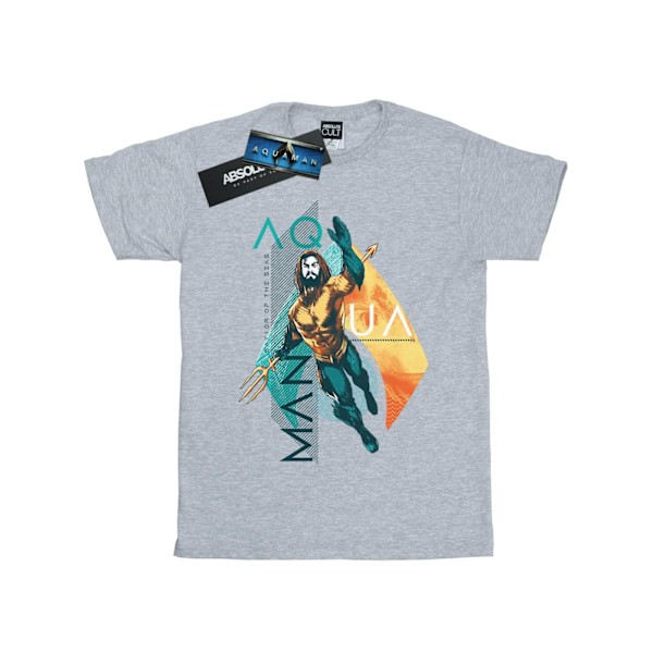 DC Comics Girls Aquaman Tropical Icon Bomull T-shirt 5-6 år Sports Grey 5-6 Years