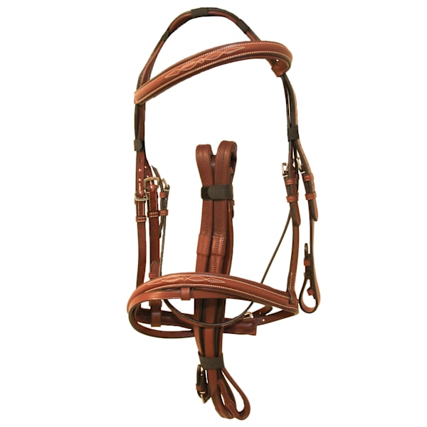 Avignon Padded Läder Hästgrimma Ponny Ek Brun Oak Brown Pony