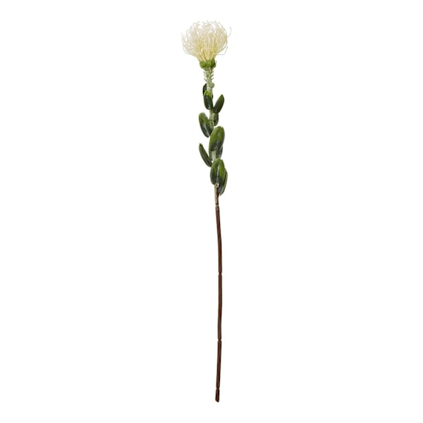 Hill Interiors Nålskydd Protea Spray Konstgjord Blomma One Si Cream One Size