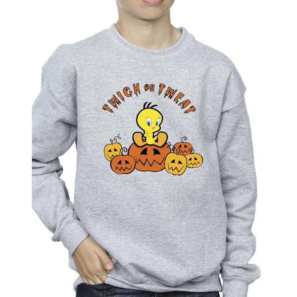 Looney Tunes Boys Twick Or Tweat Sweatshirt 7-8 år Sports Grå Sports Grey 7-8 Years