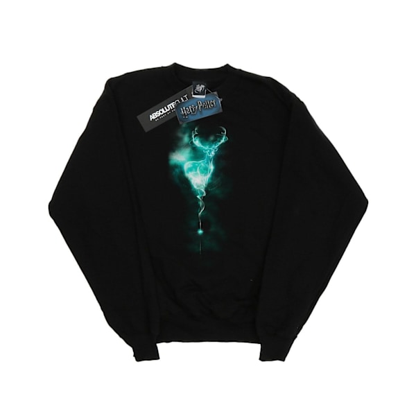 Harry Potter Flickor Stag Patronus Mist Sweatshirt 12-13 År Bl Black 12-13 Years
