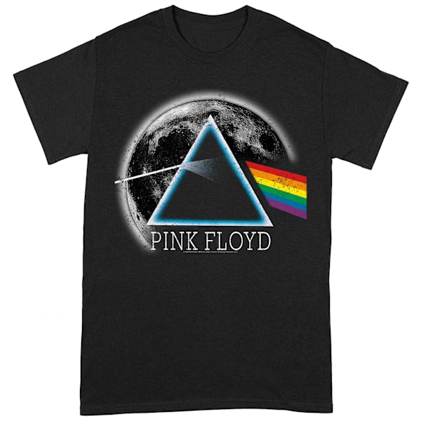 Pink Floyd Unisex Adult Dark Side Of The Moon Distressed T-Shir Black/Blue/White 3XL