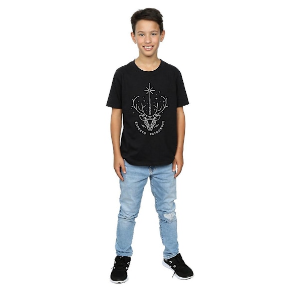 Harry Potter Boys Expecto Patronum Bomull T-shirt 9-11 år Bl Black 9-11 Years