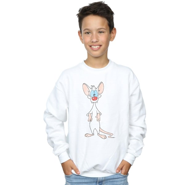 Animaniacs Boys Pinky Classic Pose Sweatshirt 12-13 år Vit White 12-13 Years