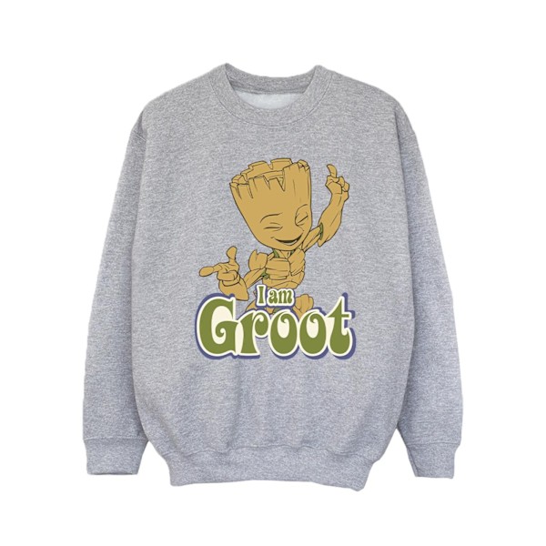 Guardians Of The Galaxy Girls Groot Dancing Sweatshirt 12-13 År Sports Grey 12-13 Years