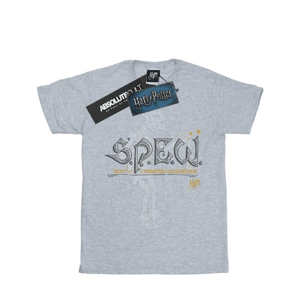 Harry Potter Boys Dobby Elfish Welfare T-Shirt 5-6 år Sport Sports Grey 5-6 Years
