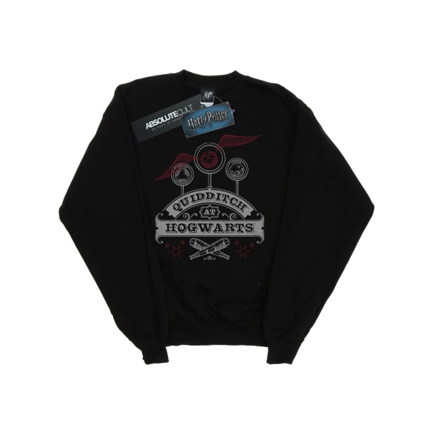 Harry Potter Quidditch på Hogwarts Sweatshirt för flickor 9-11 år Black 9-11 Years