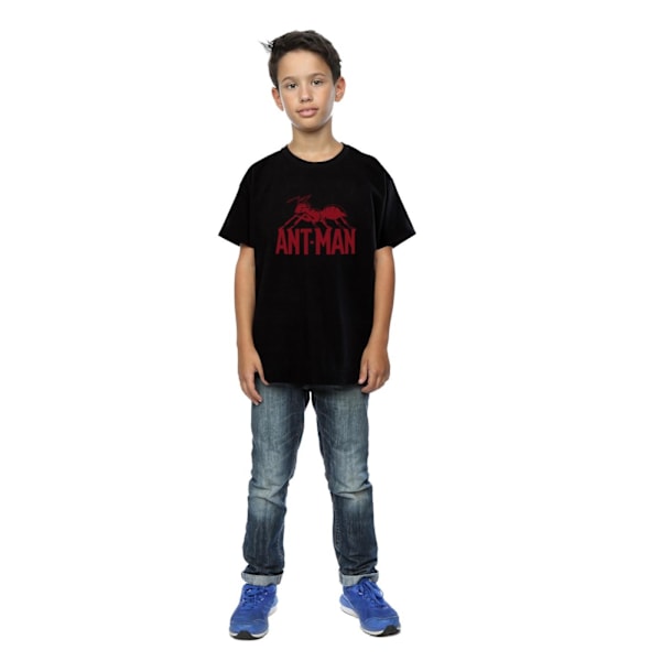 Marvel Boys Ant-Man Logo T-shirt 12-13 år Svart Black 12-13 Years