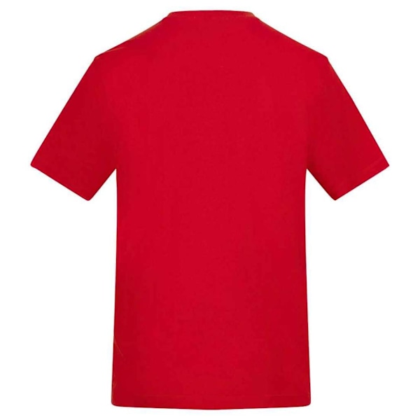 Awdis Unisex Vuxen T-Shirt XXL Eldröd Fire Red XXL
