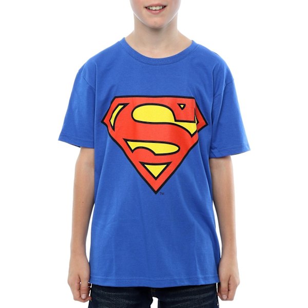 DC Comics Pojkars Superman Logotyp T-shirt 7-8 År Royal Blå Royal Blue 7-8 Years