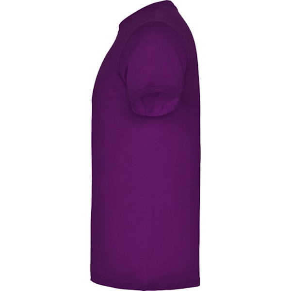 Roly Barn- och ungdoms-T-shirt med kort ärm Beagle 9-10 år Lila Purple 9-10 Years