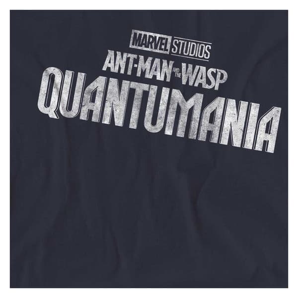 Ant-Man And The Wasp: Quantumania T-shirt med logotyp för damer S Deep Navy S