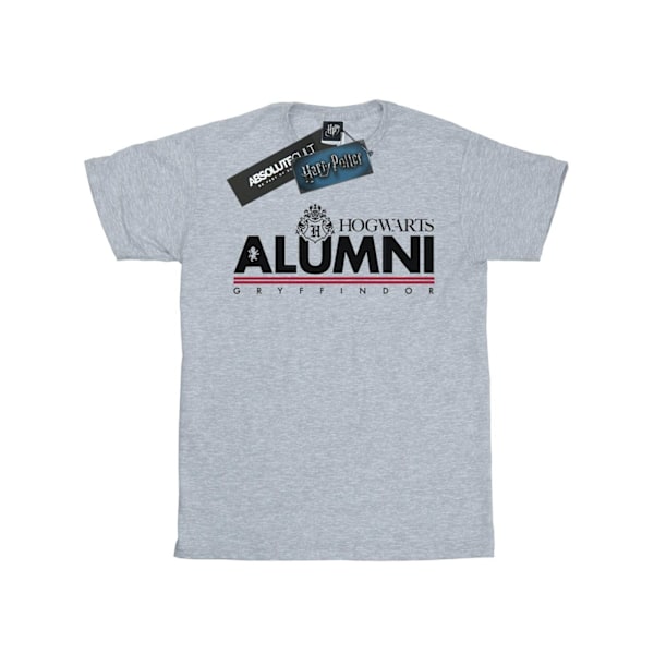 Harry Potter Hogwarts Alumni Gryffindor T-shirt för män 4XL Sports Sports Grey 4XL